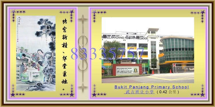 Blk 230 Pending Road (Bukit Panjang), HDB 3 Rooms #130883802